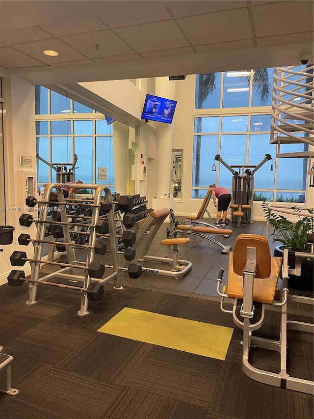 808 Brickell Key Dr Unit 2005, Miami, FL 33131 - gym featuring carpet flooring, healthy amount of natural light, and recessed lighting