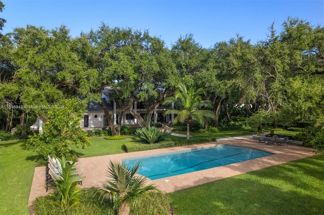 view of swimming pool featuring a lawn