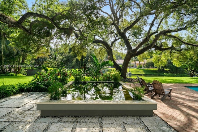 view of property's community with a patio and a lawn