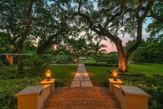 view of community with a patio area and a yard