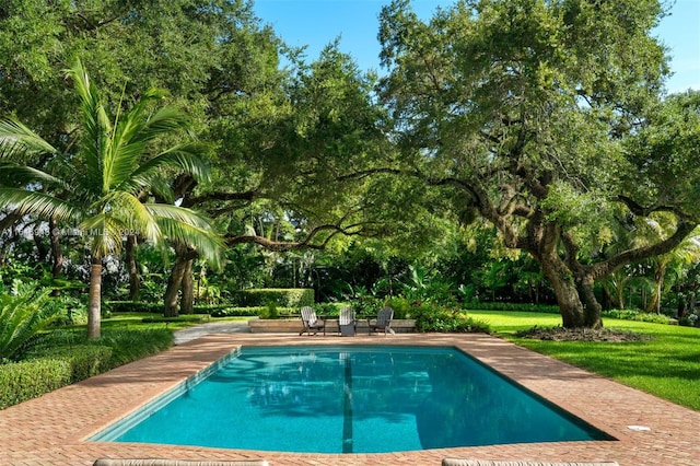 view of pool featuring a patio and a yard