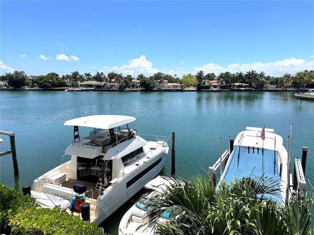 dock area with a water view