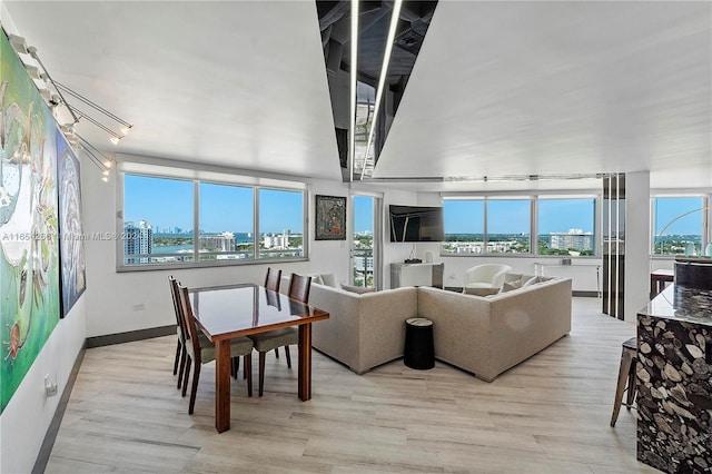 living room with plenty of natural light and light hardwood / wood-style floors