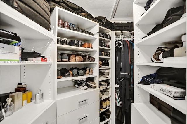 view of spacious closet