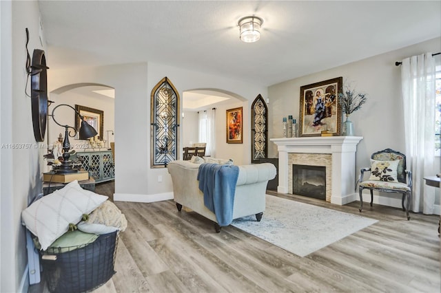 living room with hardwood / wood-style floors