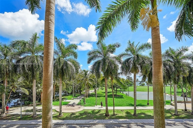 view of community featuring a yard