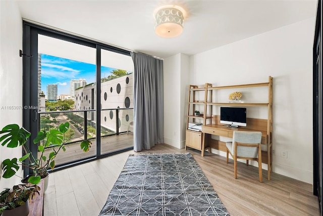 interior space featuring a wealth of natural light, light hardwood / wood-style flooring, and floor to ceiling windows