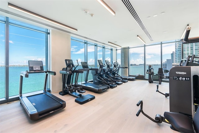 exercise room featuring plenty of natural light, wood-type flooring, and a water view