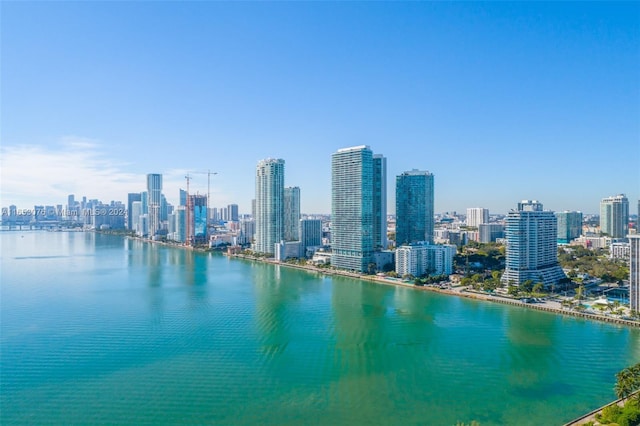 view of water feature featuring a city view