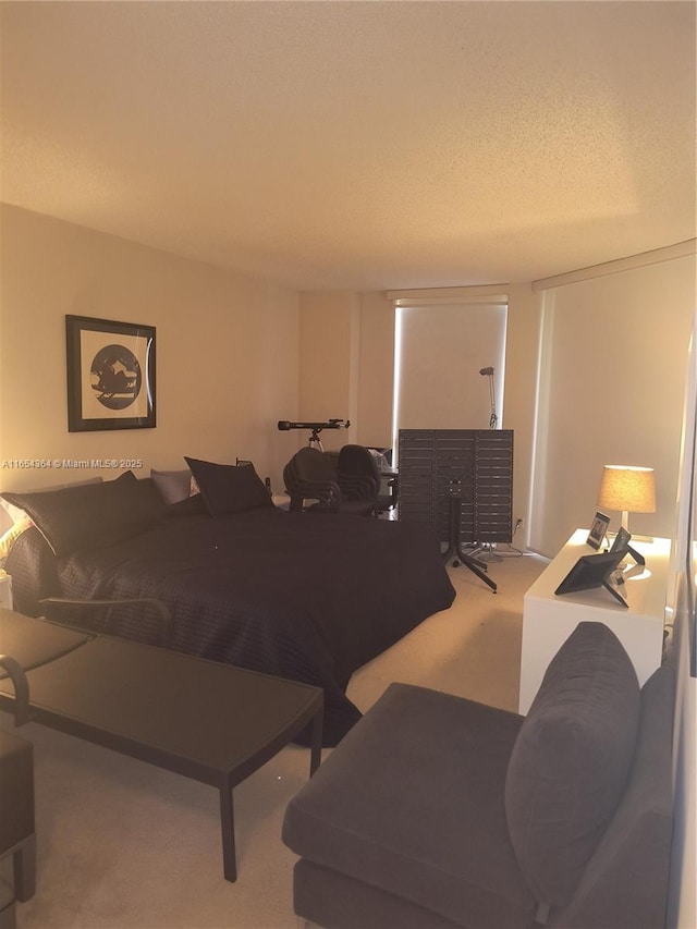 living area featuring a textured ceiling and carpet floors