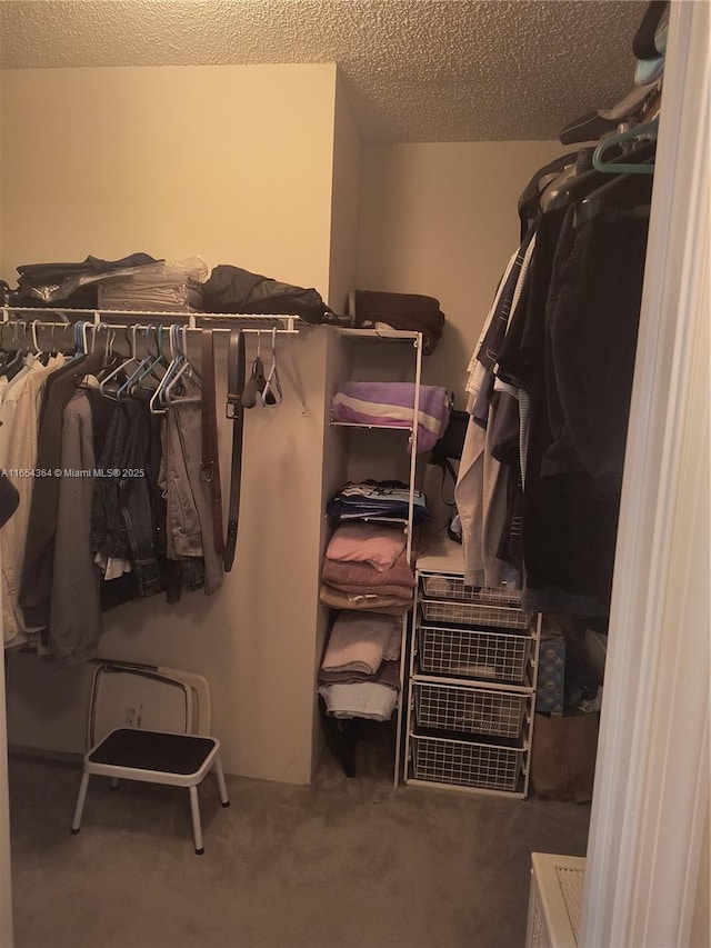 walk in closet featuring carpet flooring