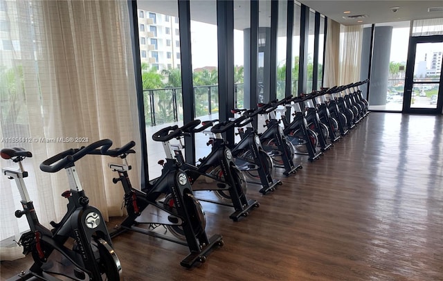 gym featuring plenty of natural light and dark hardwood / wood-style flooring