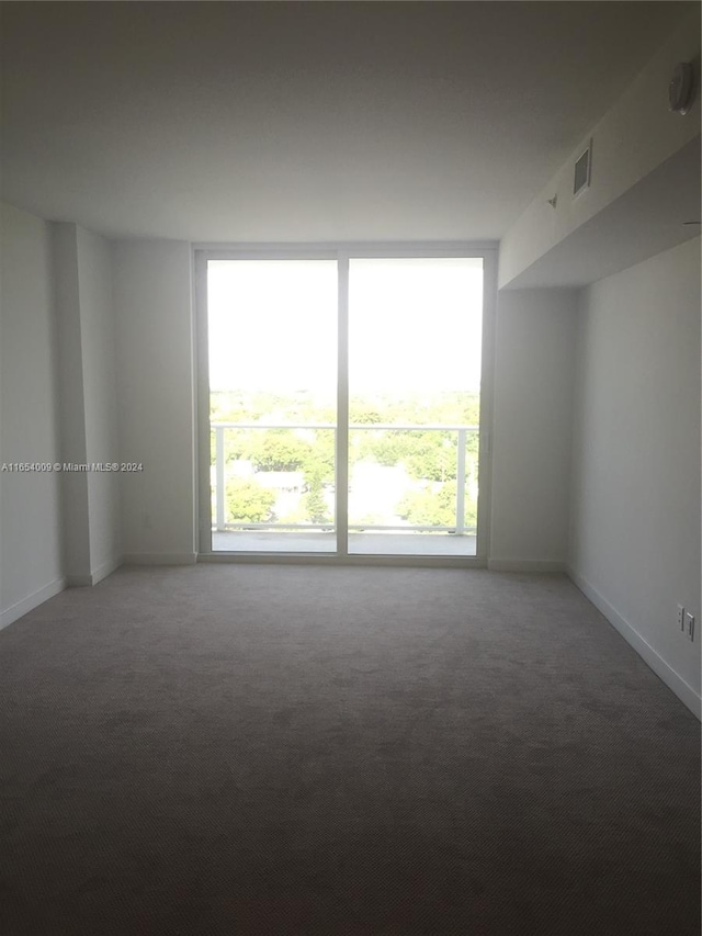 unfurnished room featuring carpet flooring and plenty of natural light