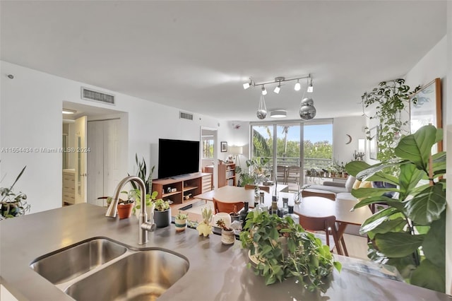 living room with sink