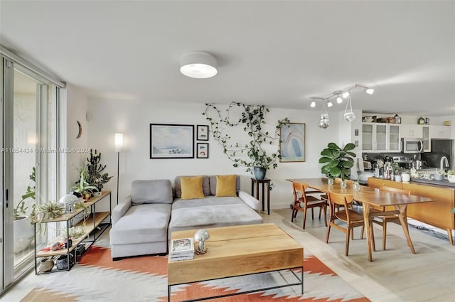 living room with a wealth of natural light