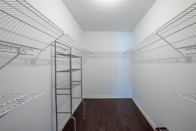 spacious closet with hardwood / wood-style flooring