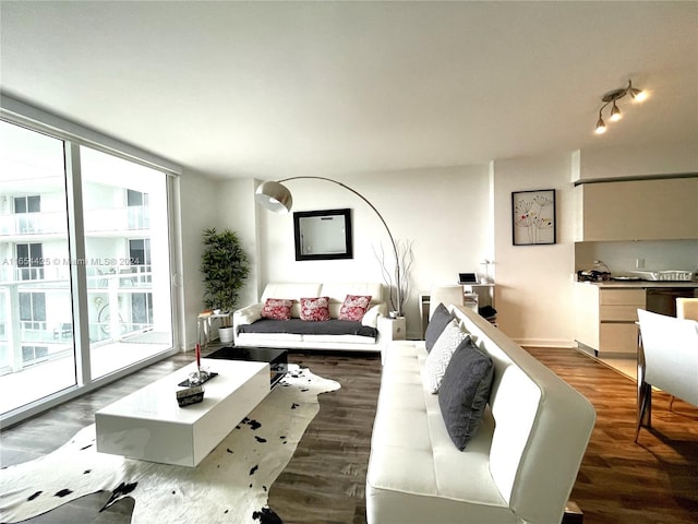 living room featuring dark wood-type flooring