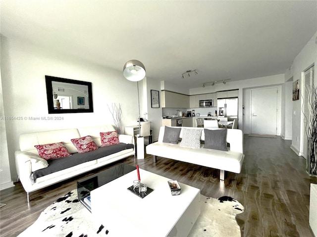 living room featuring dark wood-type flooring and rail lighting