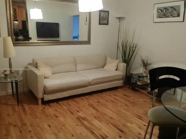 living room with wood-type flooring