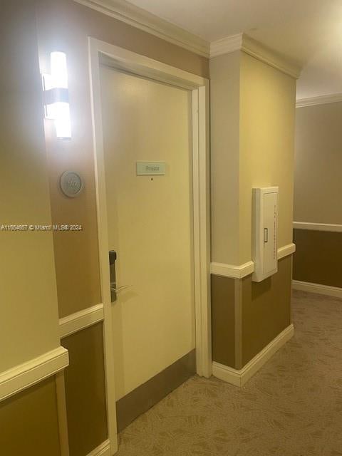 hall featuring carpet flooring and ornamental molding