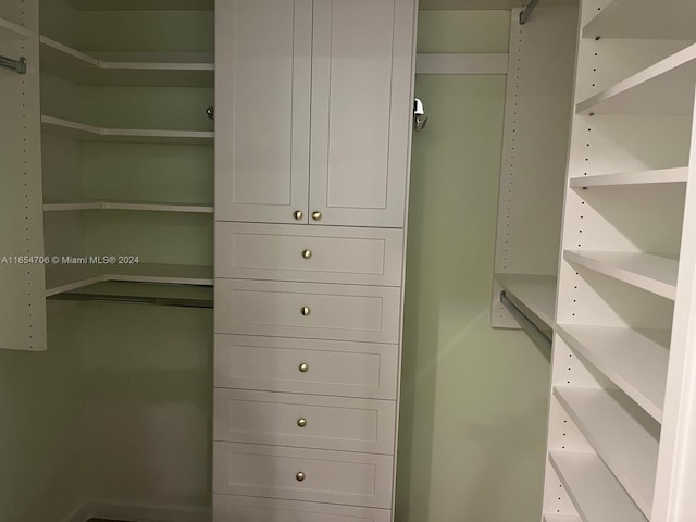 view of walk in closet