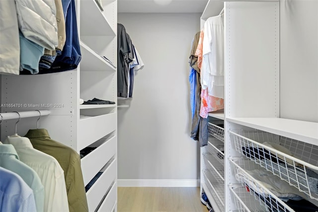 20505 E Country Club Dr Unit 231, Aventura, FL 33180 - walk in closet with light wood-style flooring