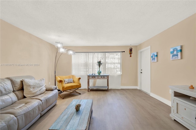 living room featuring a textured ceiling and light hardwood / wood-style flooring