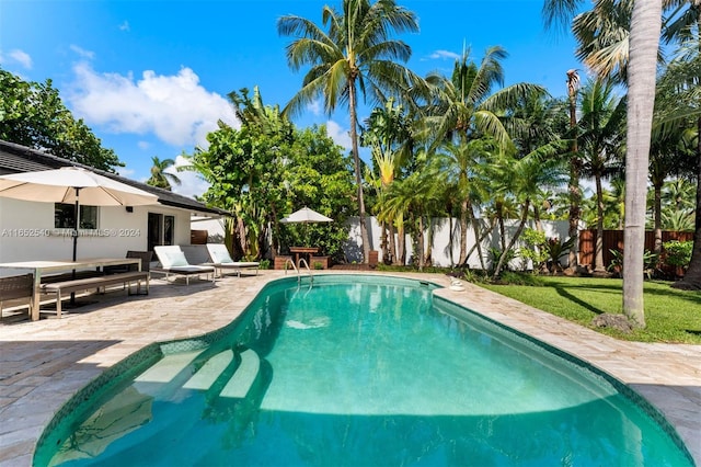 view of pool with a patio