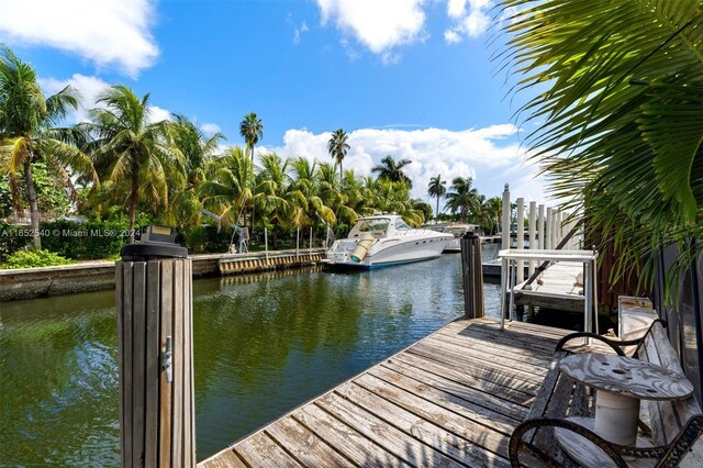 dock area with a water view