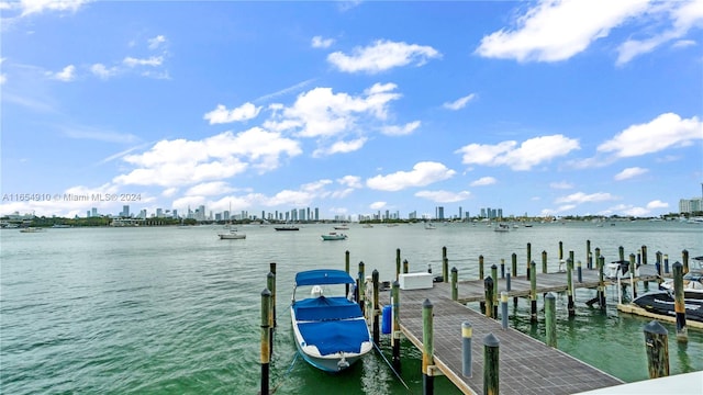 dock area featuring a water view