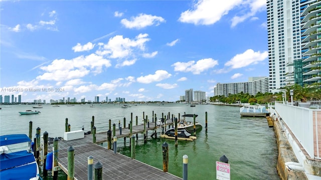 dock area featuring a water view