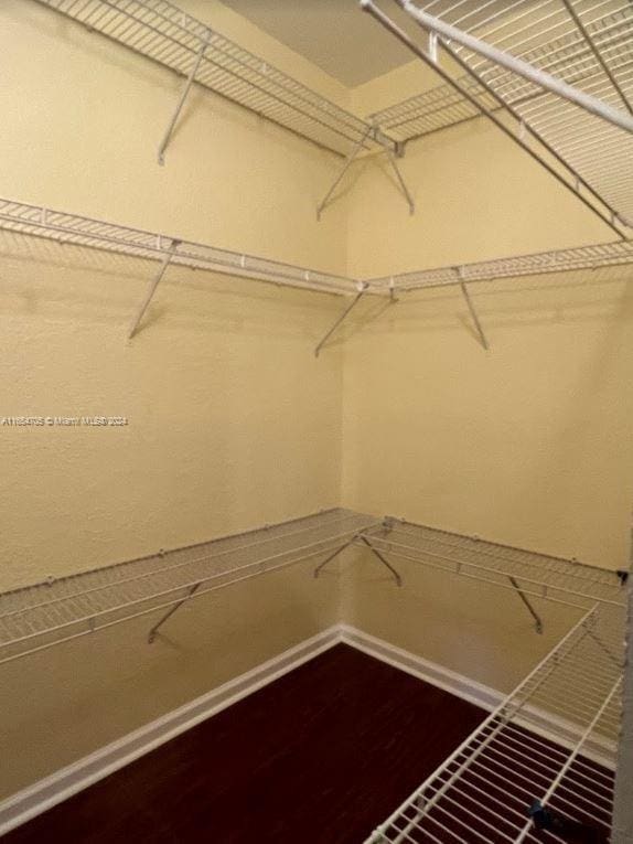 spacious closet featuring dark wood-style flooring