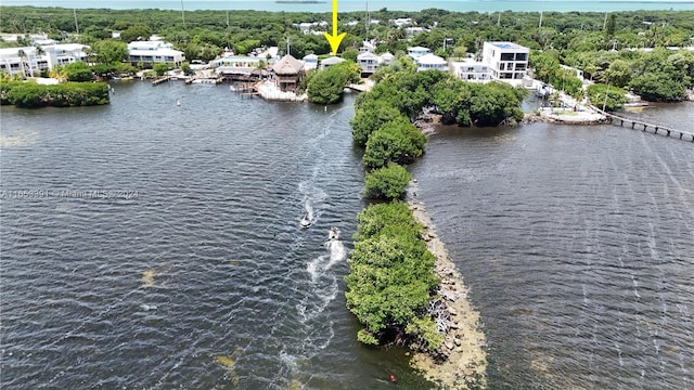 bird's eye view of a nearby body of water