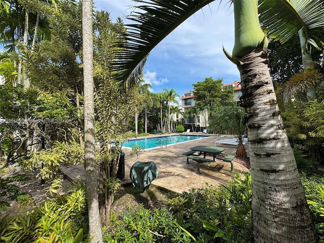 view of pool with a patio area