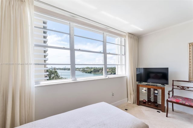 bedroom featuring ornamental molding