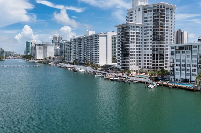 property view of water featuring a view of the beach