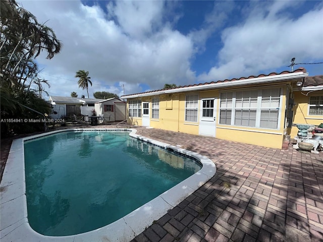 view of swimming pool with a patio and a storage shed