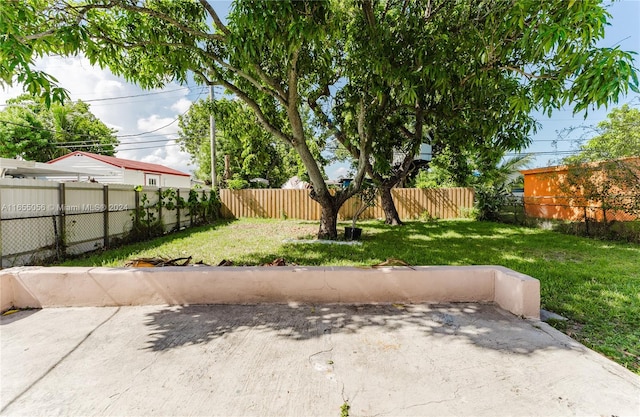 view of yard featuring a patio