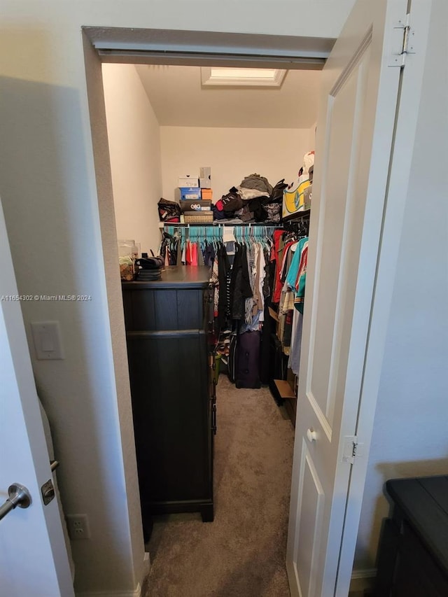 walk in closet featuring carpet