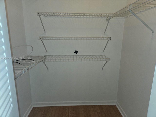 walk in closet featuring wood-type flooring