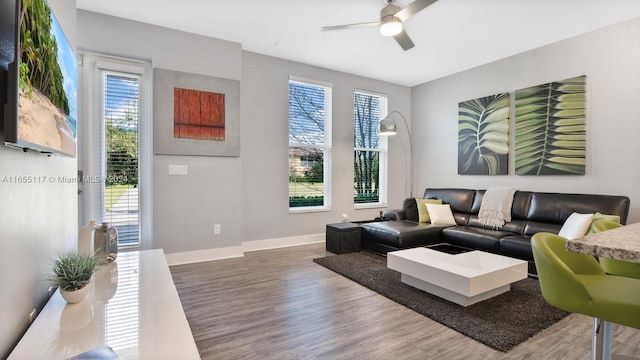 living room with ceiling fan and hardwood / wood-style floors