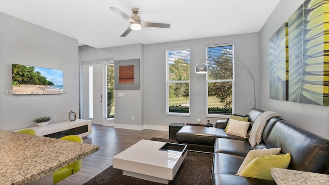 living room with ceiling fan and dark hardwood / wood-style floors