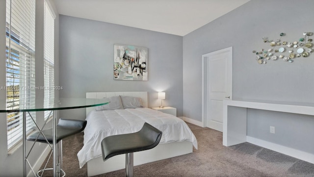 bedroom with carpet flooring