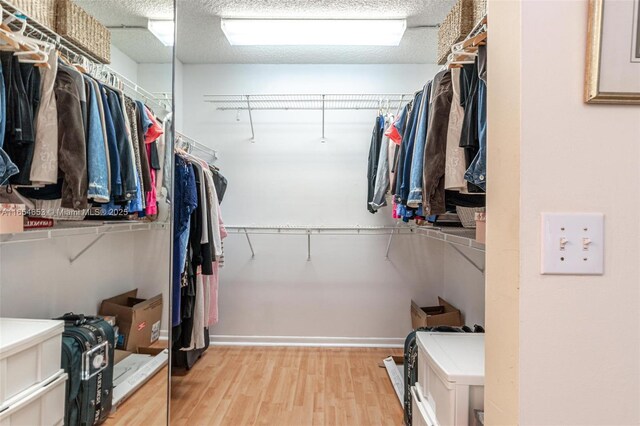 spacious closet with light wood-type flooring