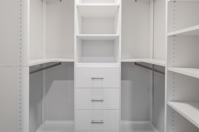 view of spacious closet