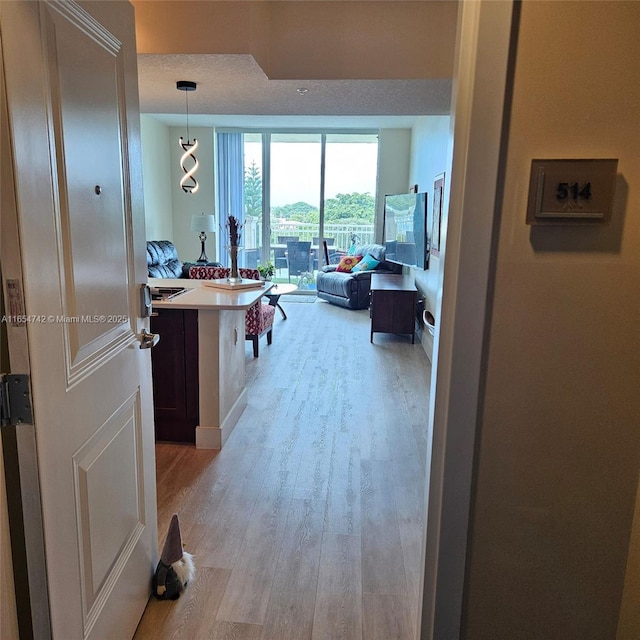 hallway featuring light hardwood / wood-style flooring