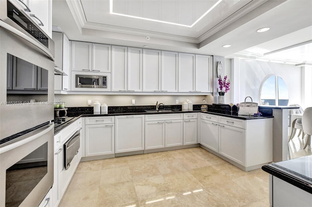 kitchen featuring crown molding, a sink, appliances with stainless steel finishes, and a tray ceiling