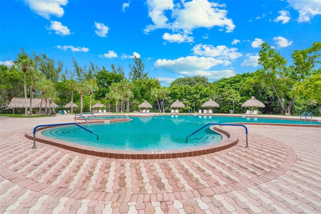 view of swimming pool with a patio