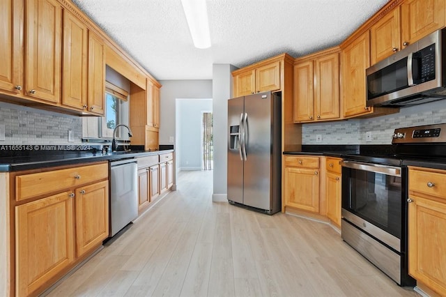 kitchen with backsplash, light hardwood / wood-style flooring, stainless steel appliances, and sink