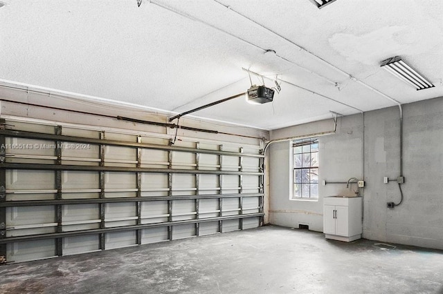 garage featuring a garage door opener and sink